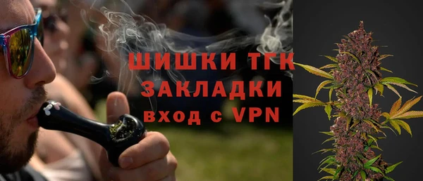 трава Корсаков