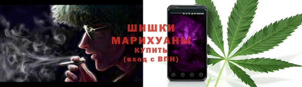 трава Корсаков