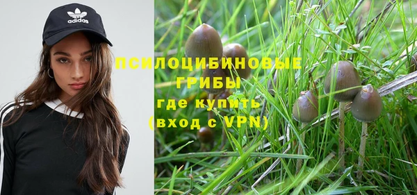 альфа пвп Козловка