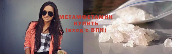 трава Корсаков